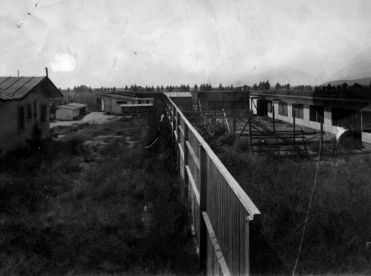 farm-013.jpg