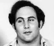 berkowitz000a.jpg