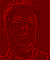 n1.gif