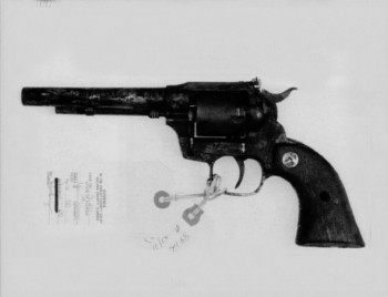 gun.jpg