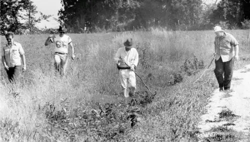 edward-edwards-search.jpg