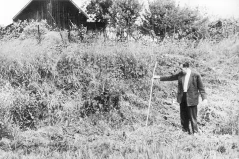 pommerencke_022.jpg