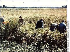 PG-Searchers-in-brush.jpg