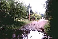 greenwater_area.jpg
