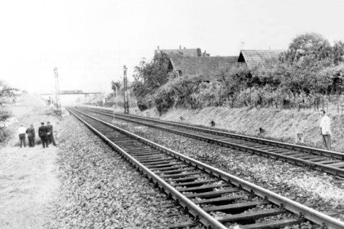 pommerencke_021.jpg