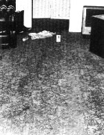 Wallincrimescene.jpg