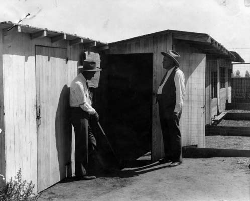 farm-007.jpg