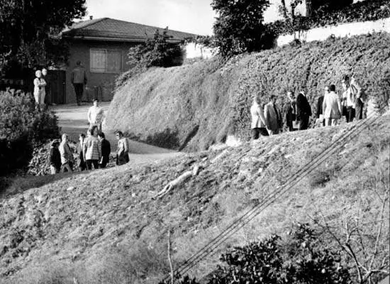 investigation_019.jpg