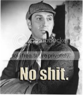 no_shit_sherlock.jpg