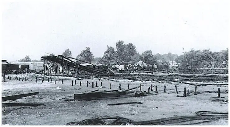 circus_111.jpg
