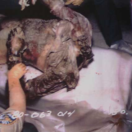 carol-bundy-coroner-8.jpg