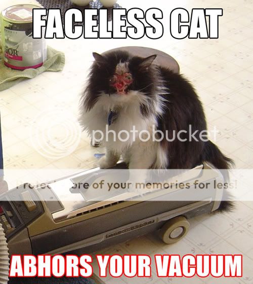 FacelessCatAbhorsYourVaccuum.jpg